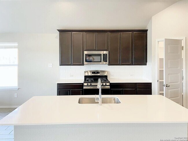 417 Spiny Lizard Ln San Marcos, TX 78666 photo 5