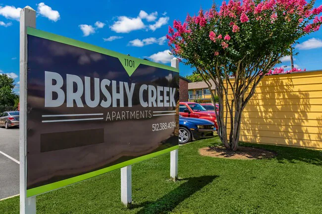 Brushy Creek Village photo 2