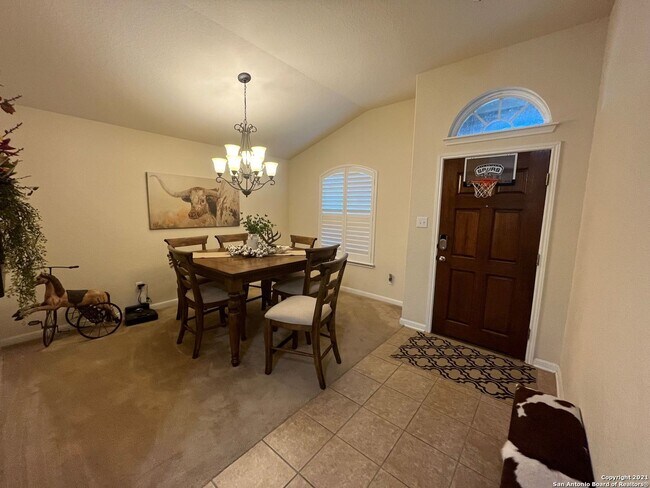 8502 Mexican Alder San Antonio, TX 78254 photo 4