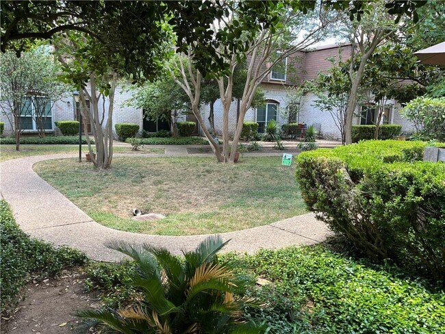 7801 Shoal Creek Blvd Austin, TX 78757 photo 2
