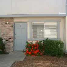 Herbert Street Apartments II photo 5