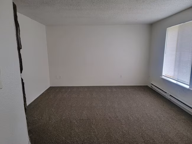 Spacious Spanaway rambler with covered patio and fenced yard. photo 3