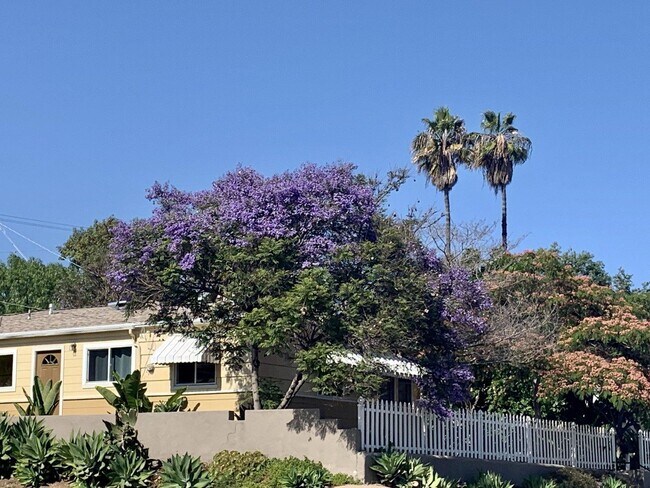 7102 Mohawk St San Diego, CA 92115 photo 4