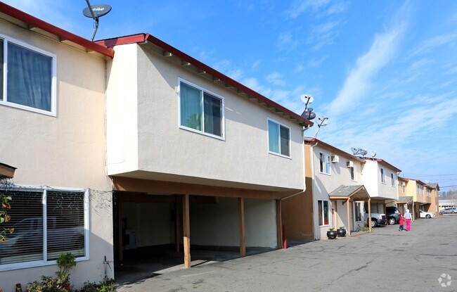 Carol Apartments photo 4