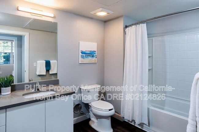 785 Baywood Dr Petaluma, CA 94954 photo 5