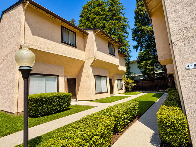 Sequoia Townhouses photo 4