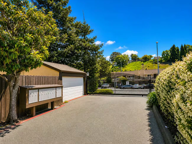 Sequoia Townhouses photo 5