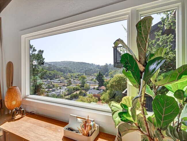 285 Morning Sun Avenue, Mill Valley, CA 94941 photo 5
