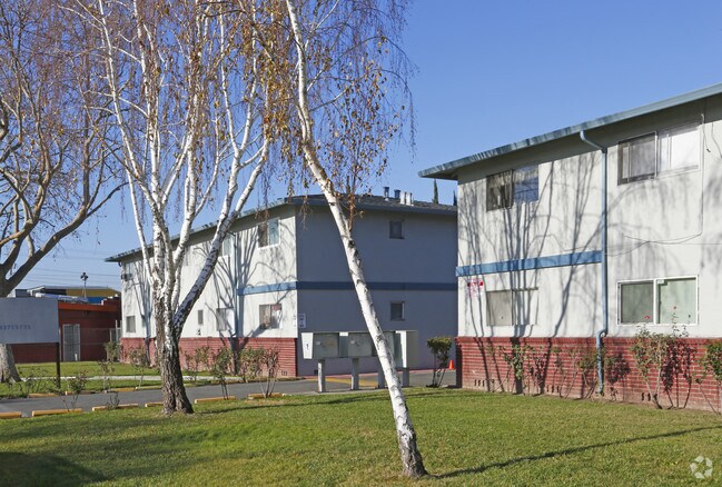 McKee Apartments photo 2