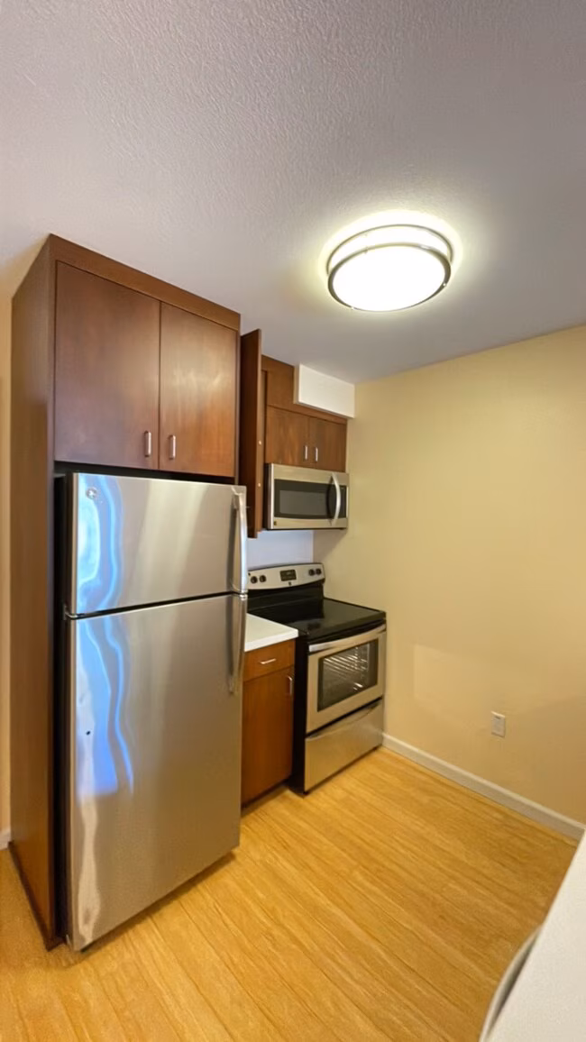 Addison Arts Apartments photo 3