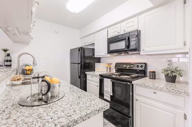Turtle Pointe Apartments photo 4