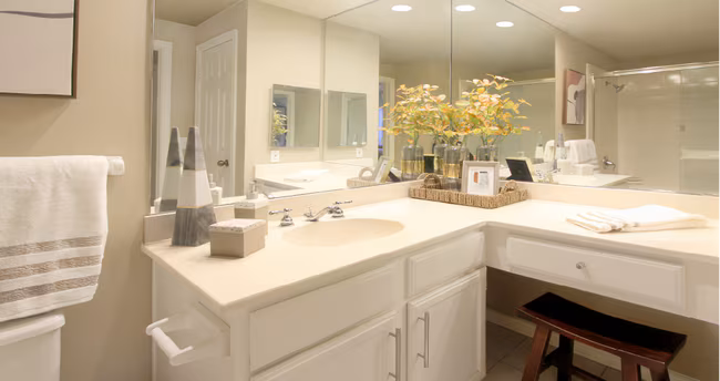 The Dorchester Apartments photo 3