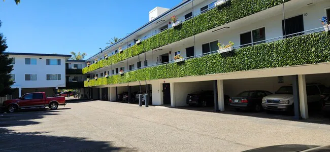 Zelma Apartments photo 4