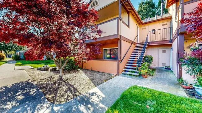 8201 Camino Colegio Rohnert Park, CA 94928 photo 2