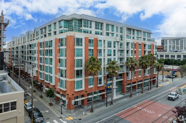 The Palms photo 5