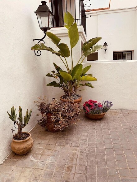 303 Coast S Blvd San Diego, CA 92037 photo 2