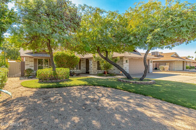 6243 W Cholla St photo 5