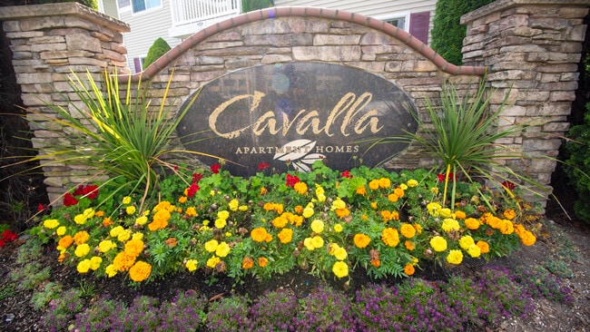 Cavalla Apartment Homes photo 4