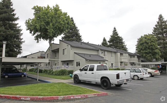 Walnut Apartments photo 3