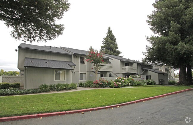 Walnut Apartments photo 4