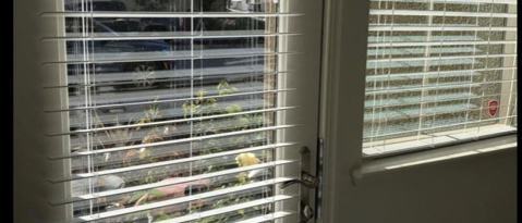 3 San Jose Vineyard Court, San Jose, CA 95136 photo 4