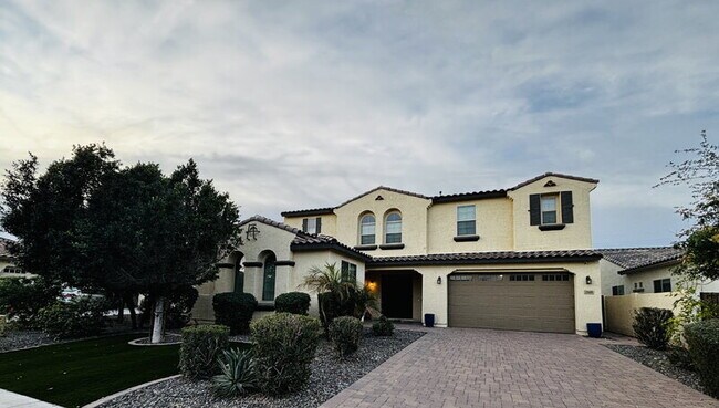 2565 E Ebony Dr Chandler, AZ 85286