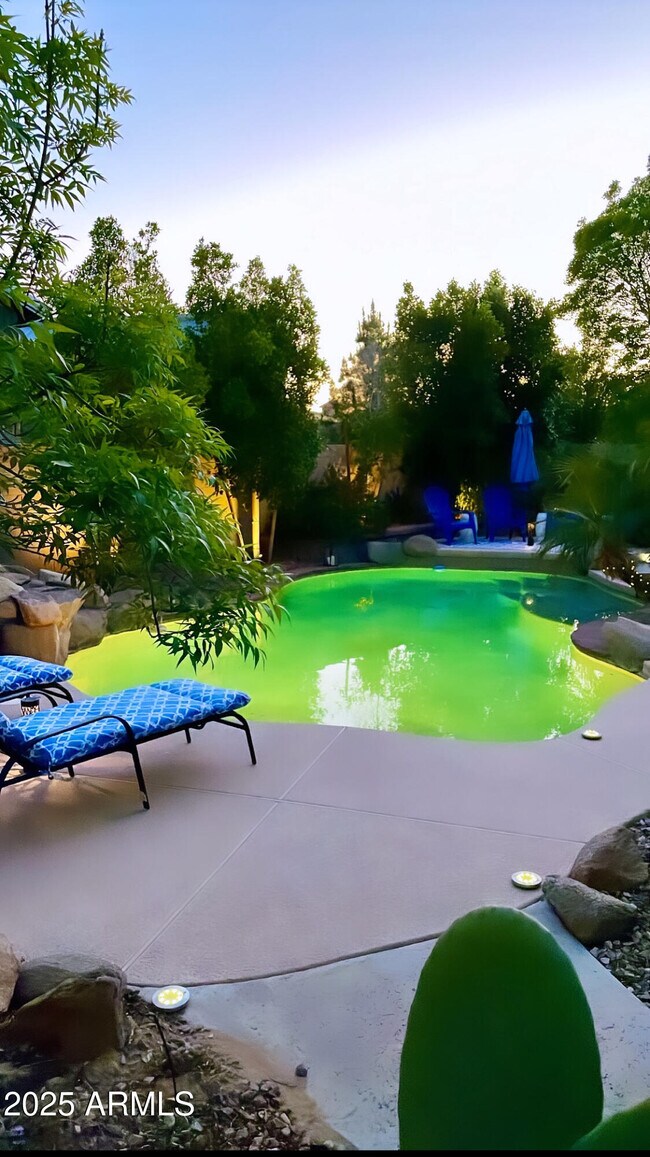 3125 E Scorpio Pl Chandler, AZ 85249 photo 5