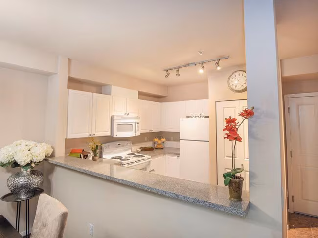 Metropolitan Collection Apartments photo 2