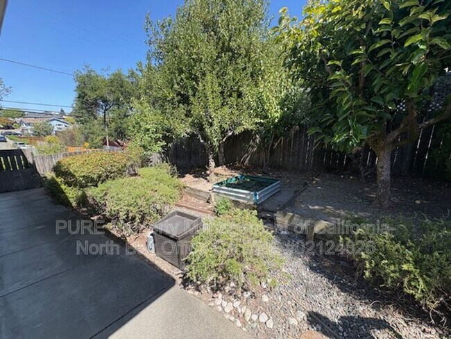 1160 Birch Dr Petaluma, CA 94952 photo 5