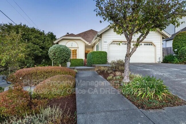 1160 Birch Dr Petaluma, CA 94952 photo 4