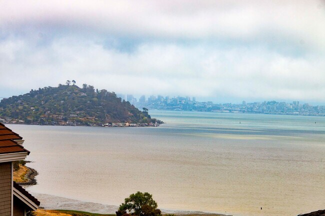 Stunning View Home in Tiburon photo 4