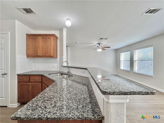 1411 Bergin Ct Georgetown, TX 78626 photo 4