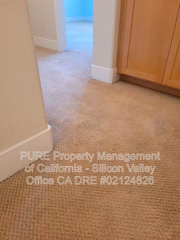 1471 W San Carlos Street photo 4