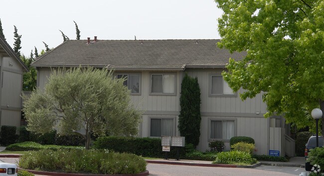 Mohr Terrace Apartments photo 3
