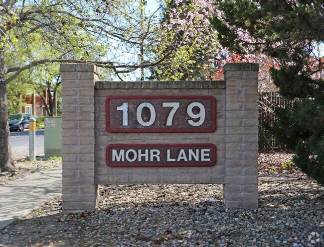 Mohr Terrace Apartments photo 5