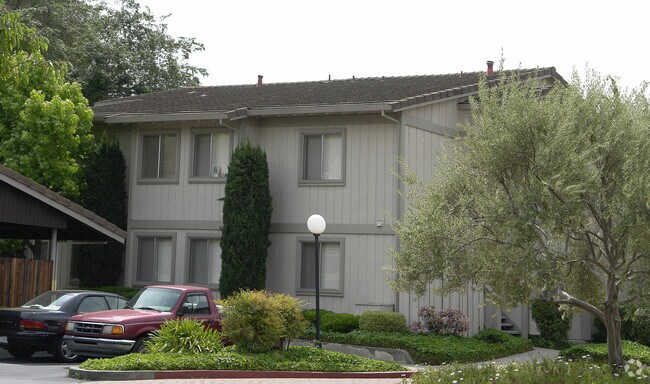 Mohr Terrace Apartments photo 2