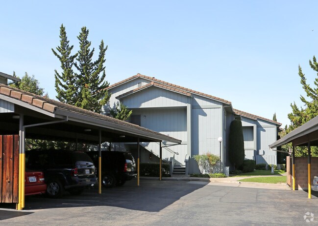 Mohr Terrace Apartments photo 4