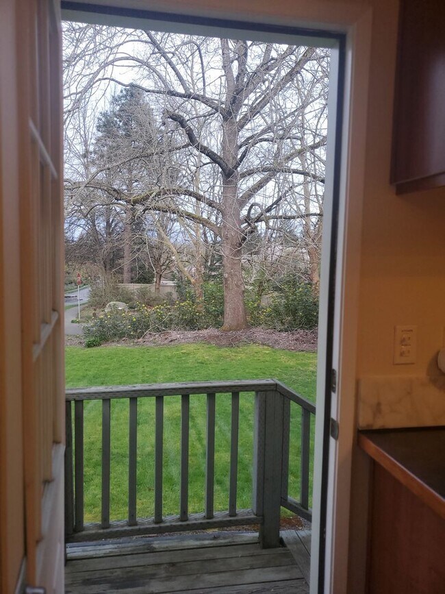 6416 58th Ave NE Seattle, WA 98115 photo 2