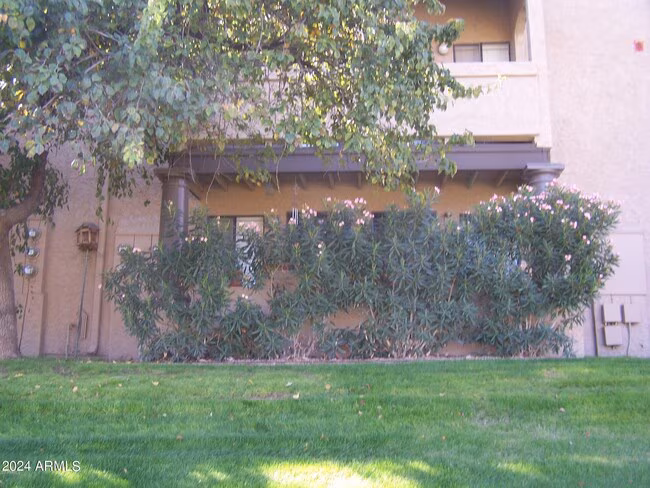 5995 N 78th St Scottsdale, AZ 85250 photo 5