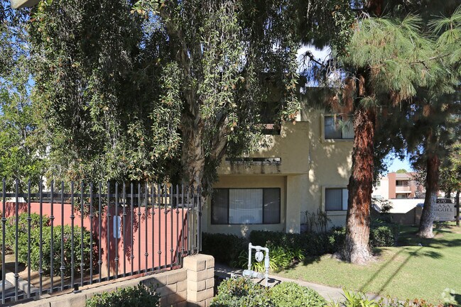 Casa Miguel photo 3
