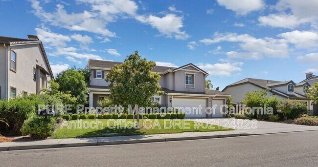 79 Bottlebrush Court, Oakley, CA 94561 photo 2