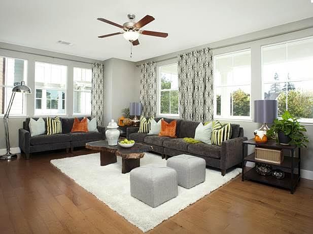 309 Amaryllis Ter photo 3