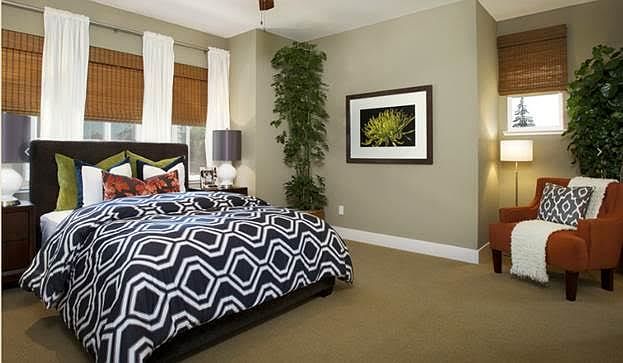 309 Amaryllis Ter photo 2