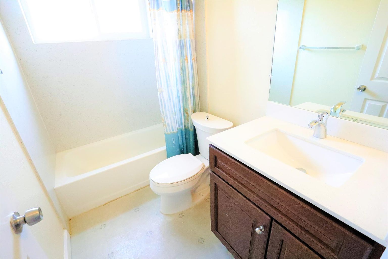 615 Alpha CT photo 5