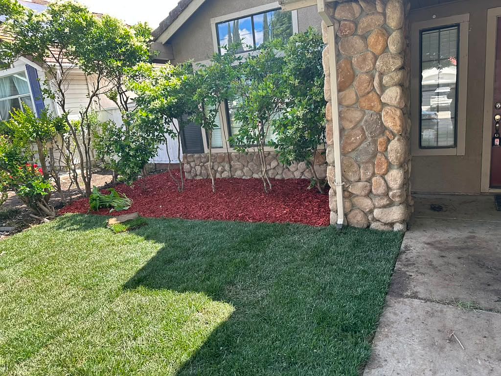 1570 Deer Run Ln photo 3