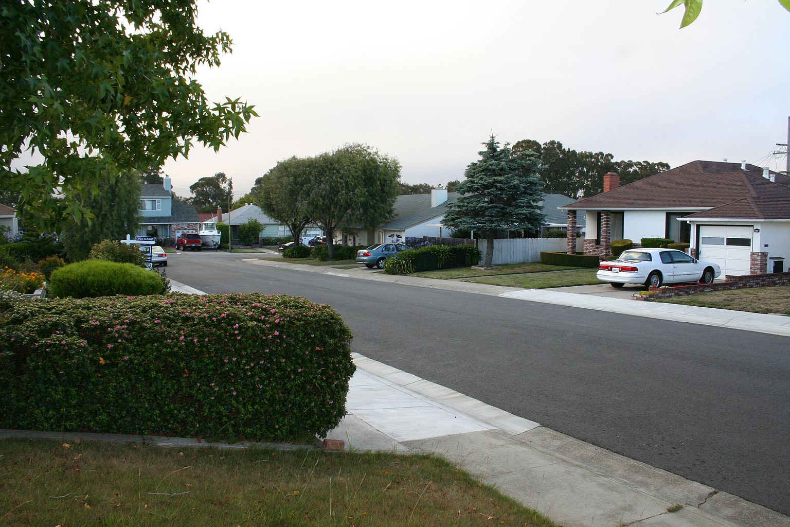 777 Cypress Ave photo 5
