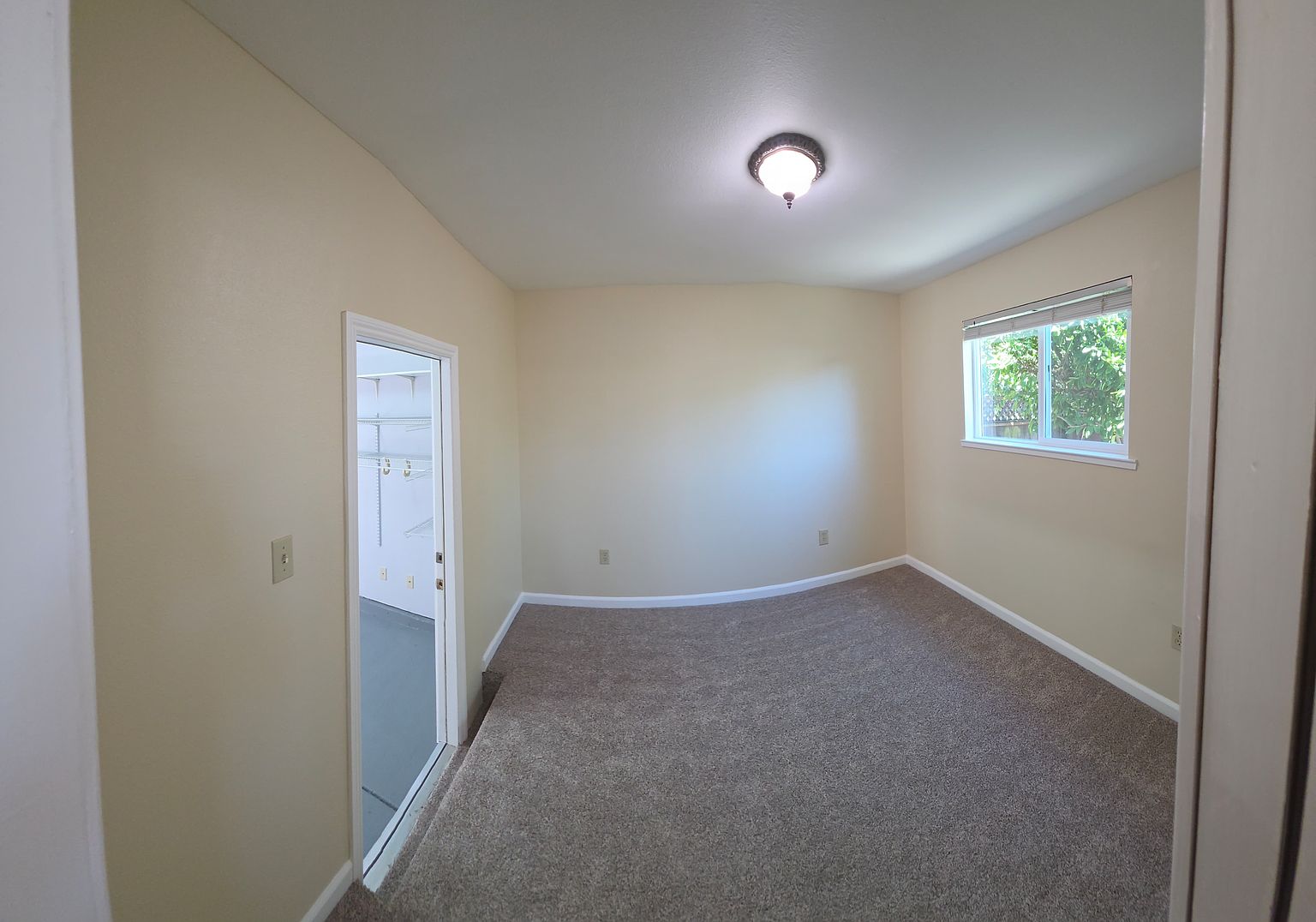 1BR/1BA Single Family House on Poplar Ave · San Bruno photo 5