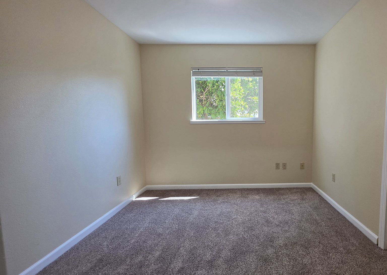 1BR/1BA Single Family House on Poplar Ave · San Bruno photo 4
