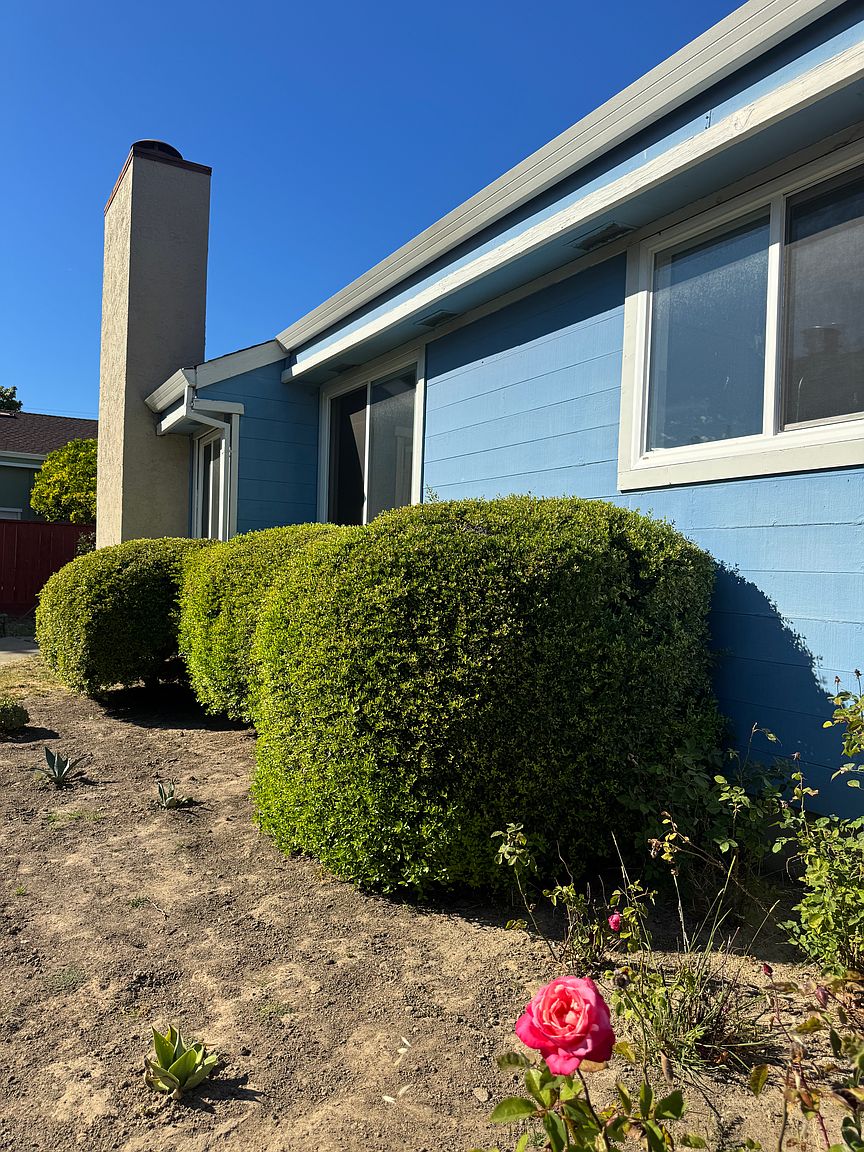 Houses on Cypress Ct · Millbrae photo 3