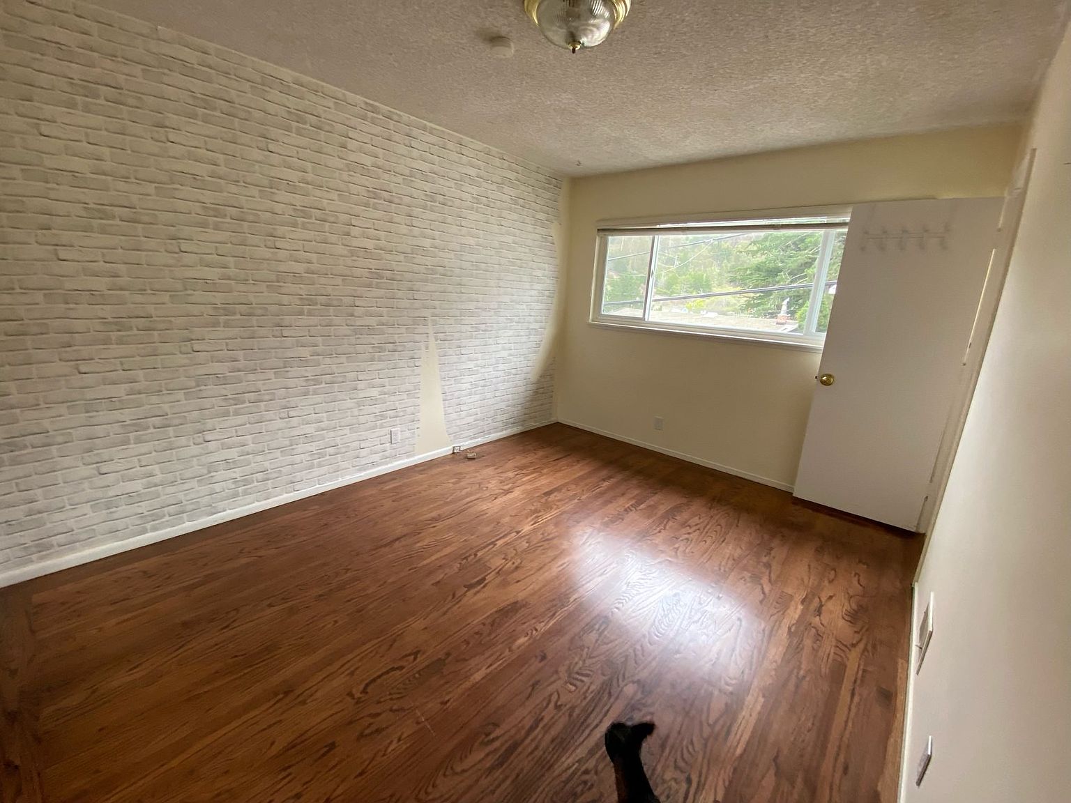 1066 Granada Dr photo 5